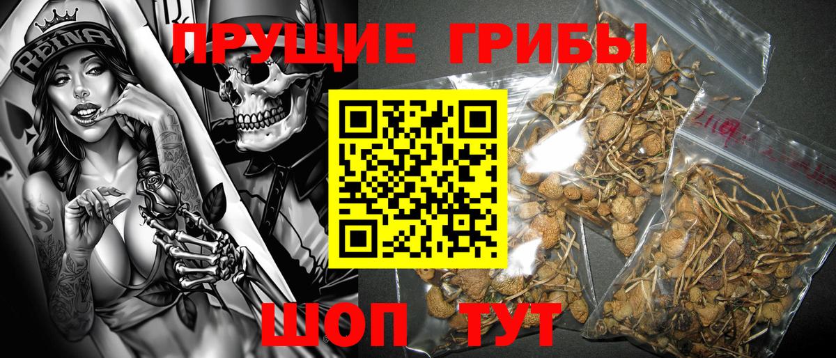 МЕФ   Благодарный  Продажа наркотиков  Каннабис  Вход с VPN  ГАШИШ 