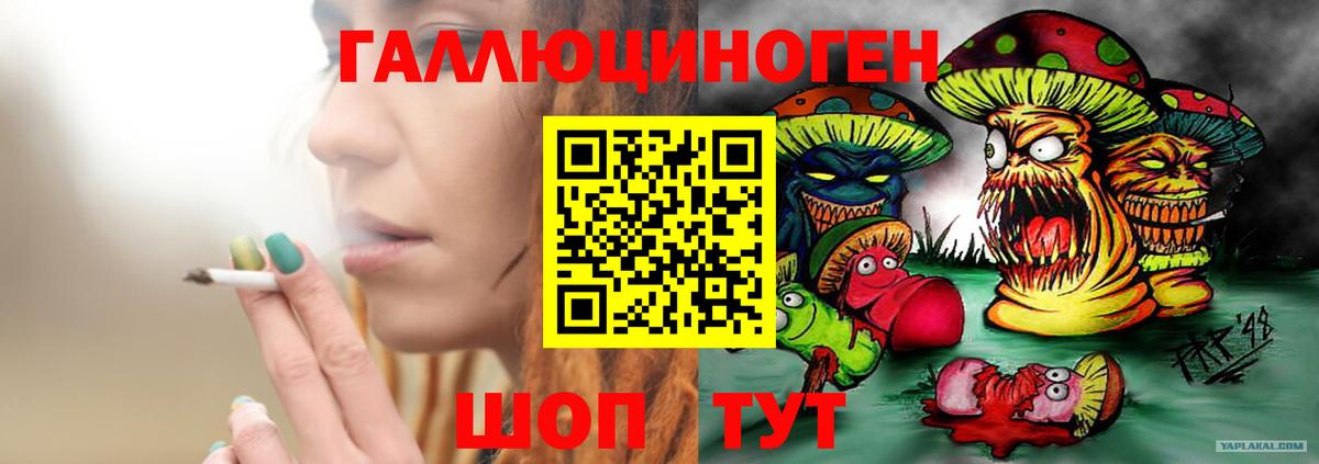 Галлюциногенные грибы Psilocybine cubensis Благодарный